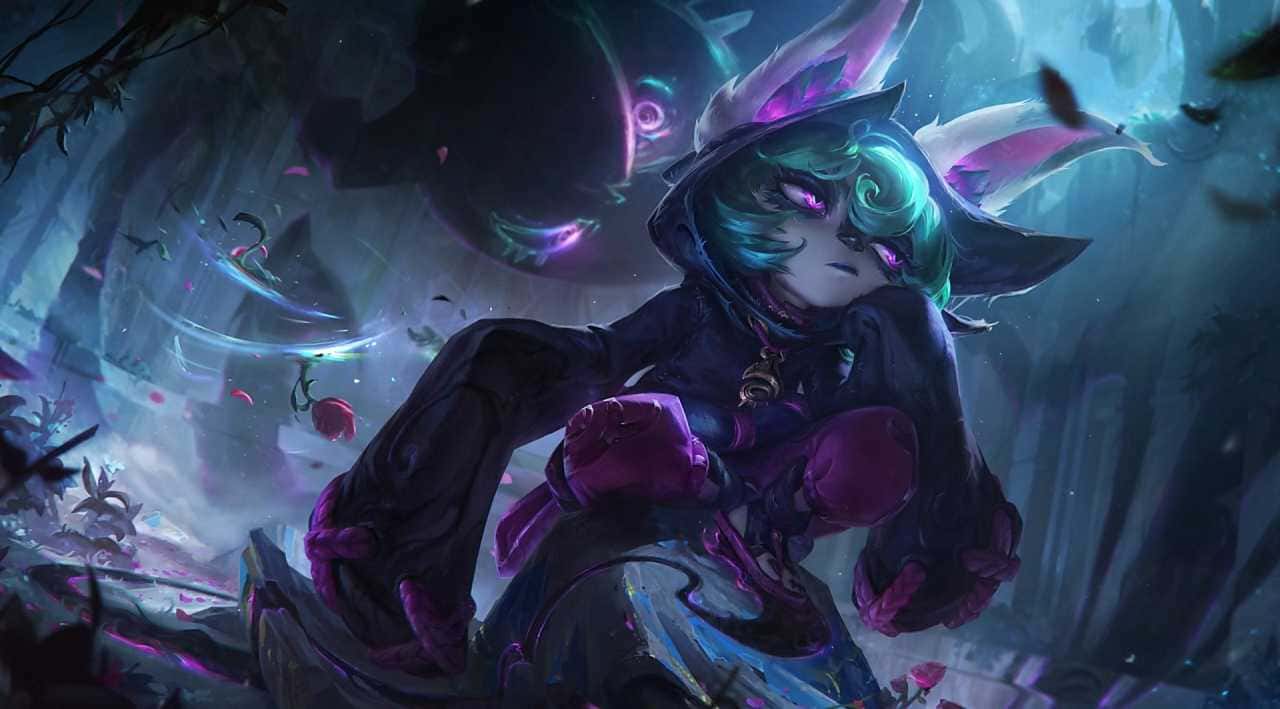 vex rehber 1+1