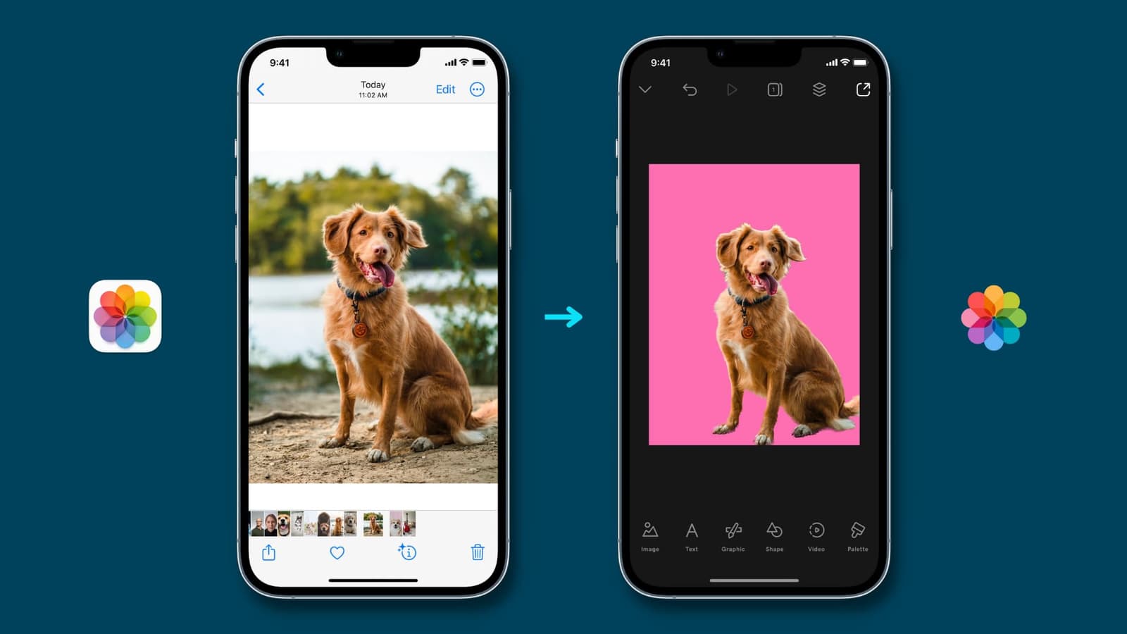 iOS 16 Fotoğraf Kopyalama ve Yapıştırma 2022